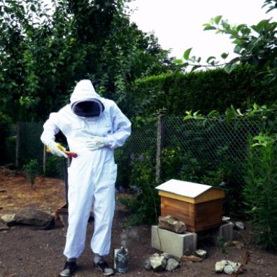 Welcome bees in GreenHouse Epinac garden // Bienvenue aux abeilles au jardin de GreenHouse Epinac